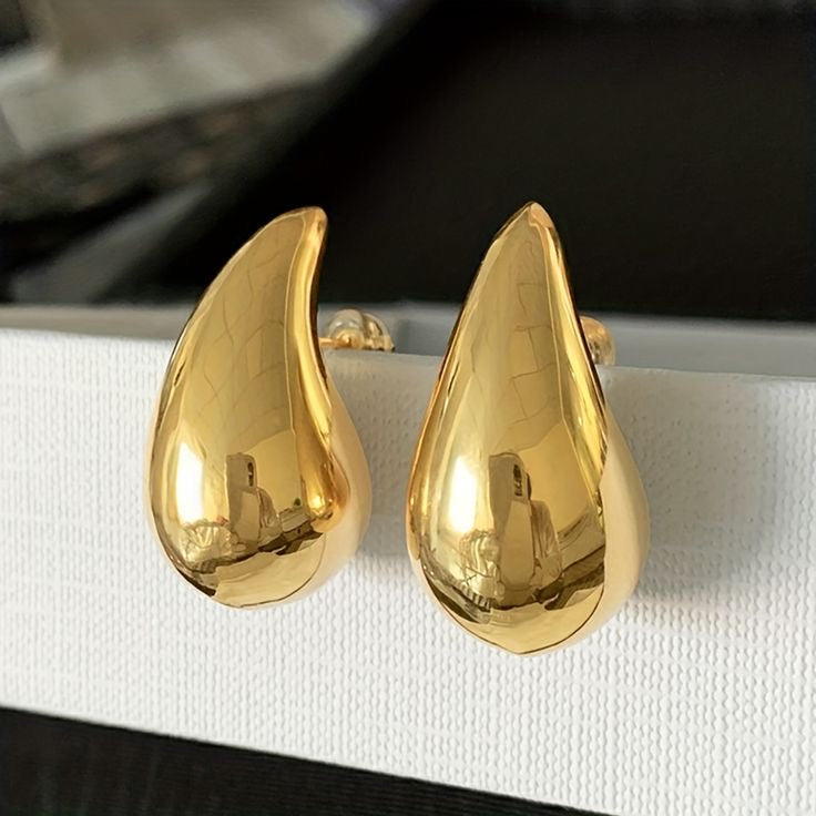 Bottega Earrings dupe